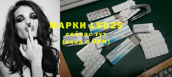 индика Снежногорск